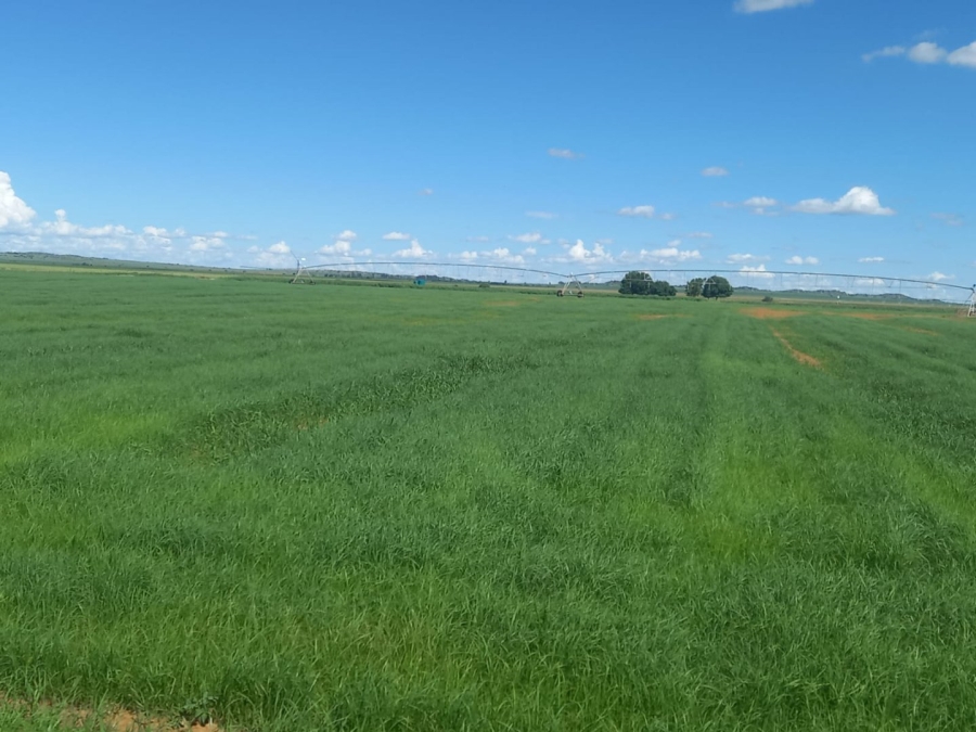  Bedroom Property for Sale in Bloemfontein Rural Free State